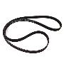 Serpentine Belt